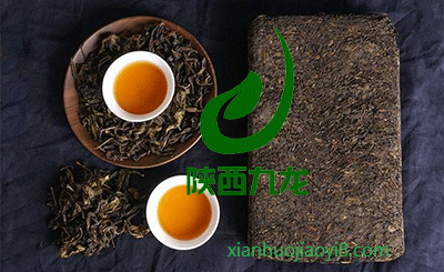 陕西九龙农产品茯茶实物图
