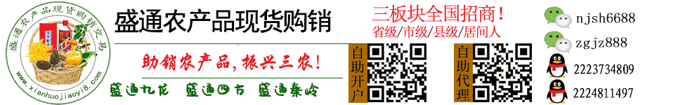 盛通四方数字化商品市场