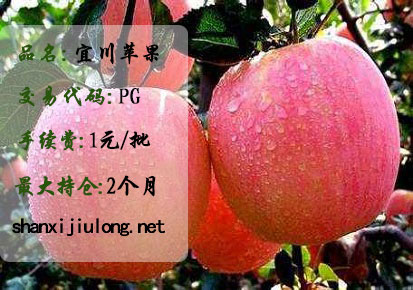 （白盘）宜川苹果